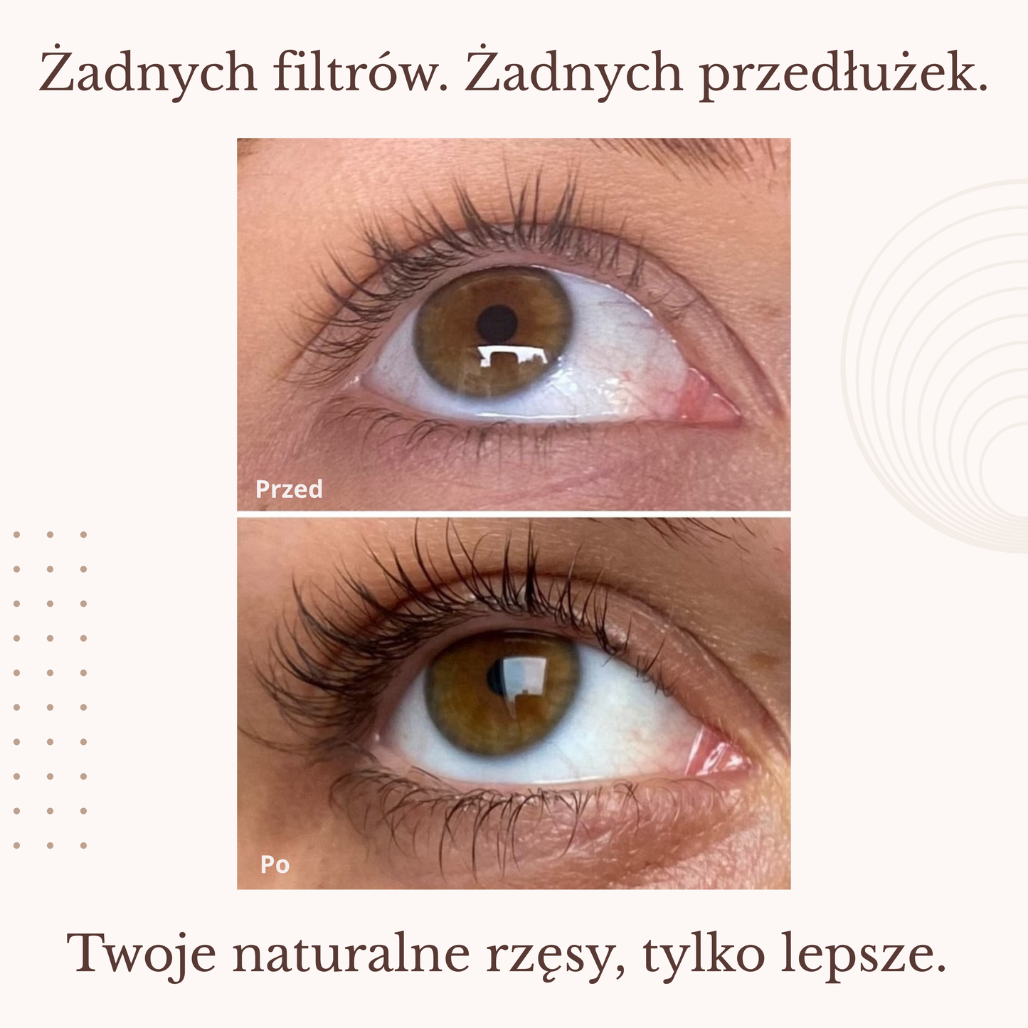 Lash Growth Serum